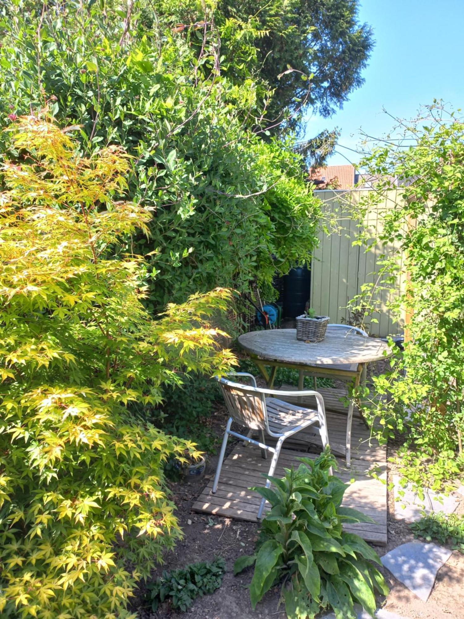 On-Ge-WoonAd Hasselt  Villa Exterior photo